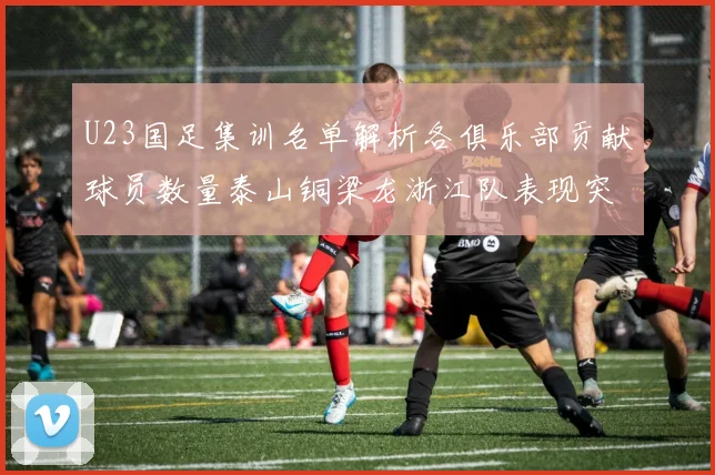 U23国足集训名单解析各俱乐部贡献球员数量泰山铜梁龙浙江队表现突出