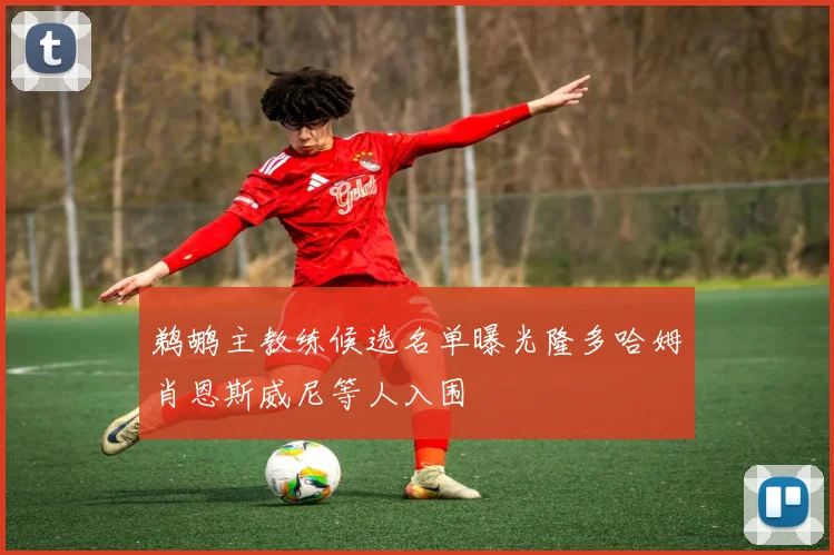 鹈鹕主教练候选名单曝光隆多哈姆肖恩斯威尼等人入围